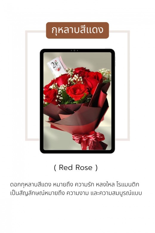 ความหมายกุหลาบแดง