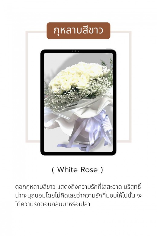 ความหมายกุหลาบขาว